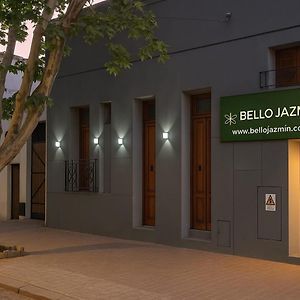Bello Jazmin 2